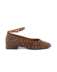 Seychelles - Pumpkin Flat - Leopard -