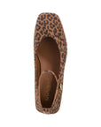 Seychelles - Pumpkin Flat - Leopard -
