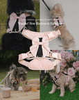 Wander! Bow Harness Kit Ballerina - FURRY MUSE WAN-BOW-HKIT-XS-BK