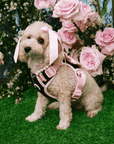 Wander! Bow Harness Kit Ballerina - FURRY MUSE WAN - BOW - HKIT - XS - BK