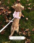 Wander! Bow Harness Kit Blossom - Silver - FURRY MUSE WAN-BOW-HKIT-XXS-SI-PN-6FT