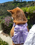 Wander! Bow Harness Lilac - FURRY MUSE WAN - HAR2 - XS - LI