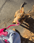 Wander! Multiway Waterproof Leash Petunia - FURRY MUSE WAN - LEA - OS - MA