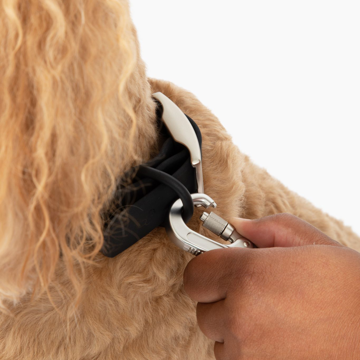 Waterproof PVC Collar - Midnight