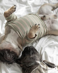 Lambwolf Collective - Chelsea Dog Tee - Fern -