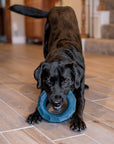 Zippy Paws - ZippyTuff+ Emerald Ring -