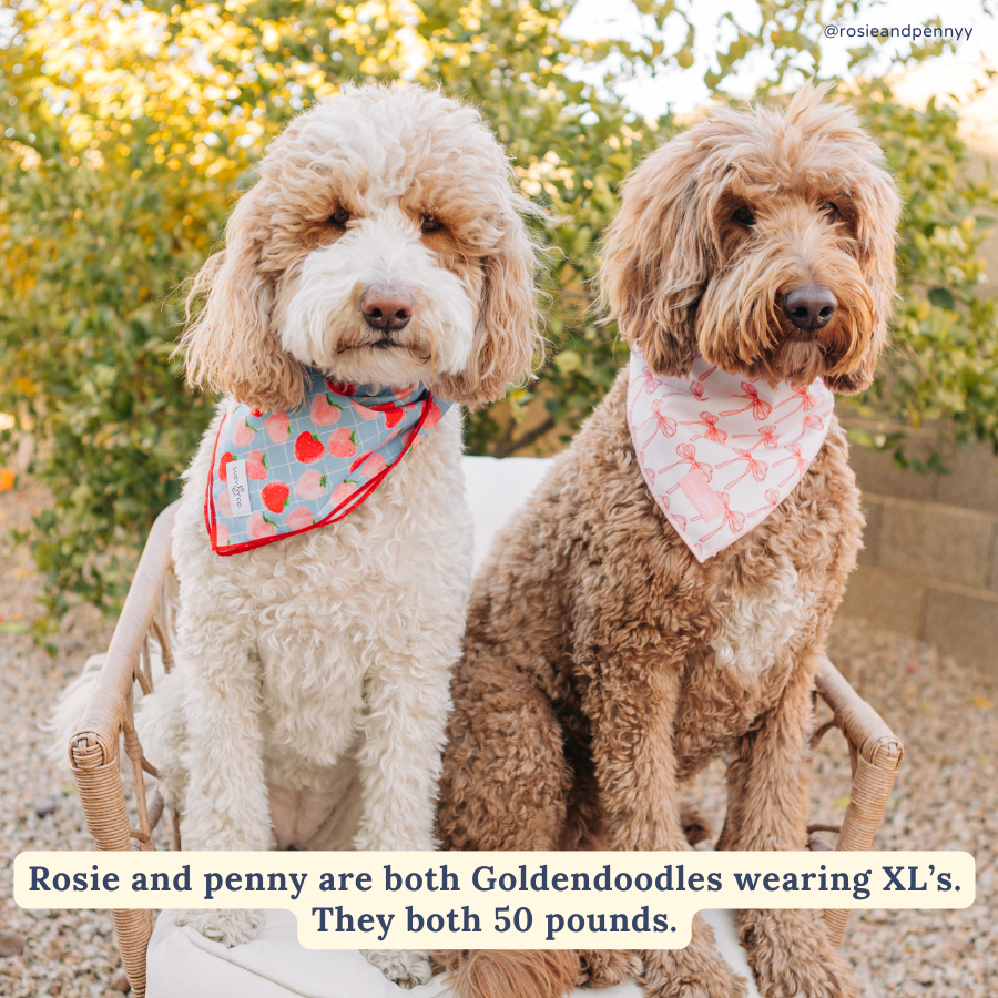 Lucy &amp; Co. - Fresh Berries Bandana -