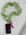 The Phone Strap - Apple Green