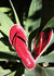 Aster Sandal - Red