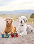 Zippy Paws - Adventure Bowl - Forest Green -