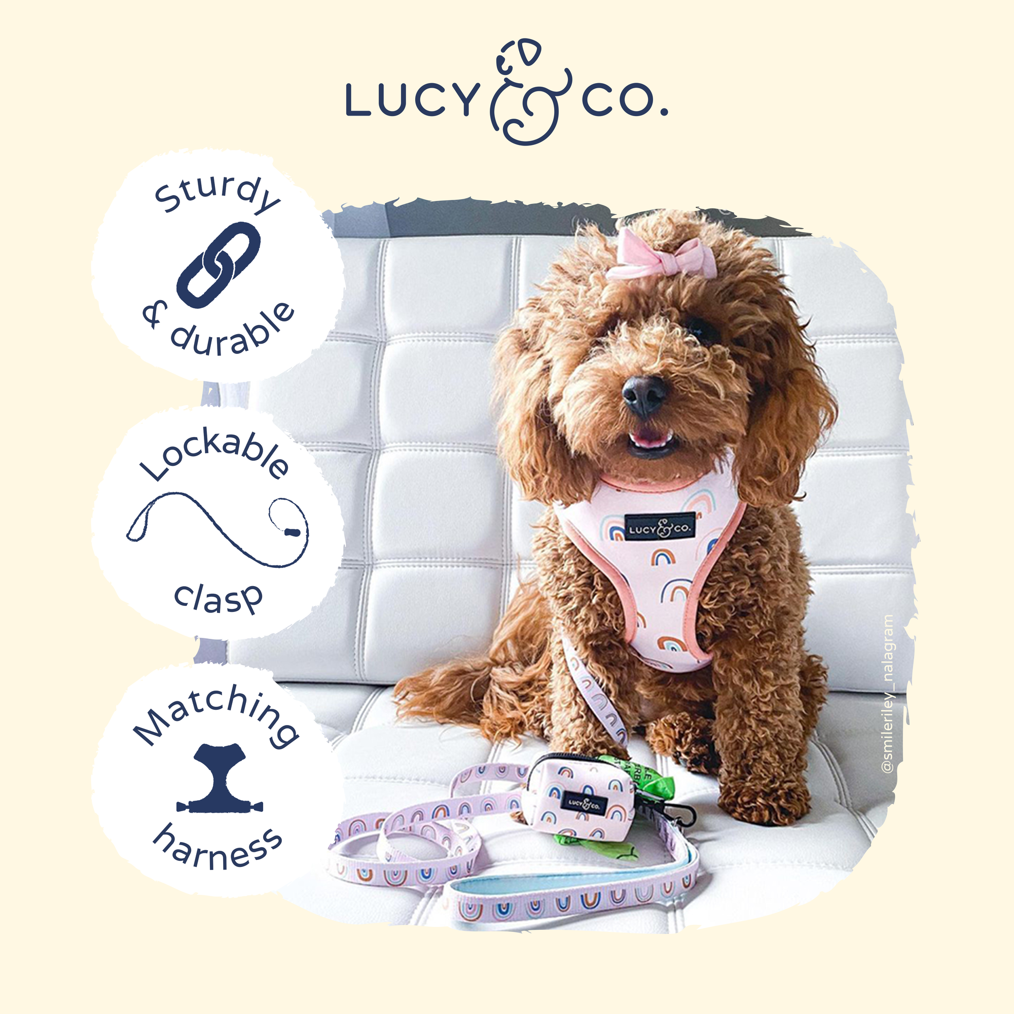 Lucy & Co. - In the Clouds Leash -