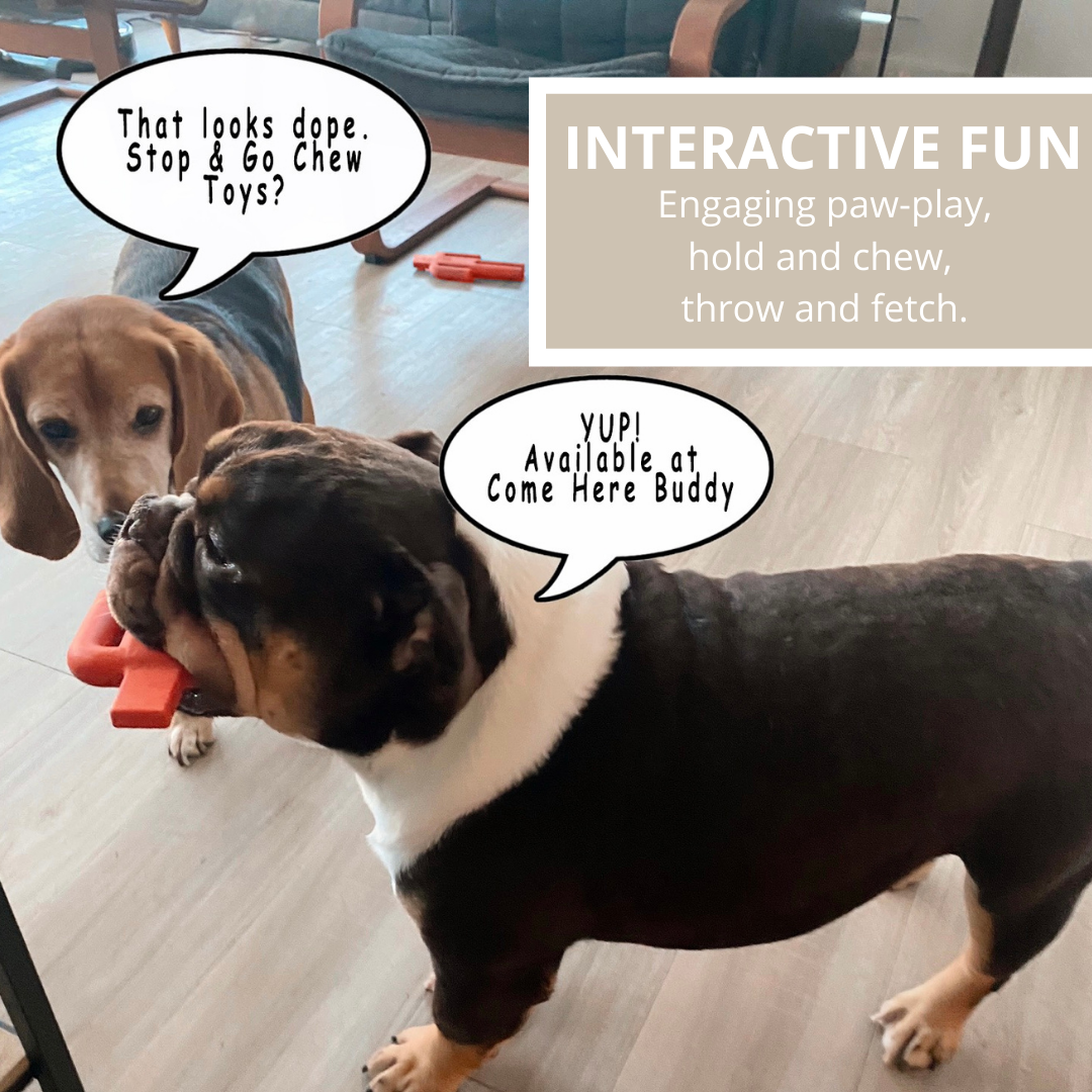 Come Here Buddy - Dog Chew Toy Set -