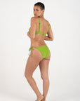 Galamaar - Tie Brief in Erba -