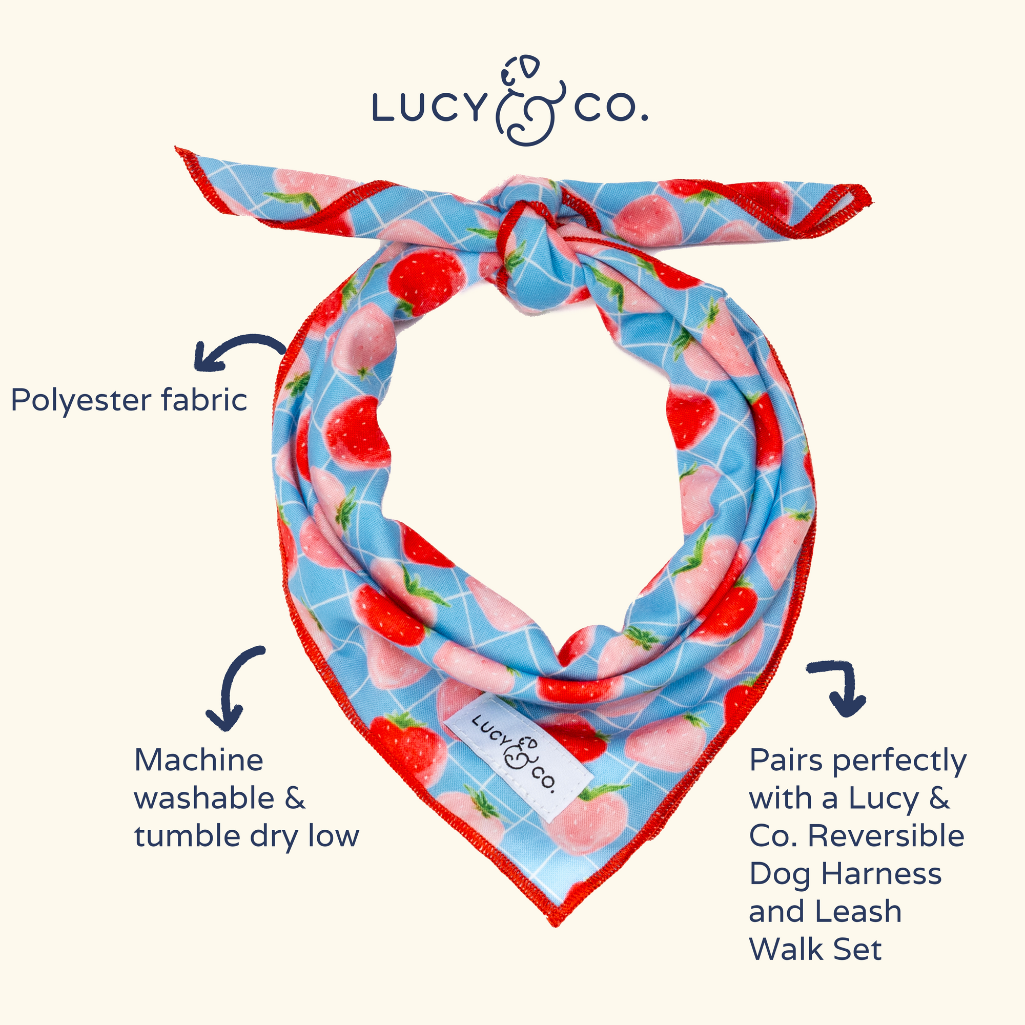 Lucy & Co. - Fresh Berries Bandana -