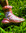 Rufl Boot - Pink