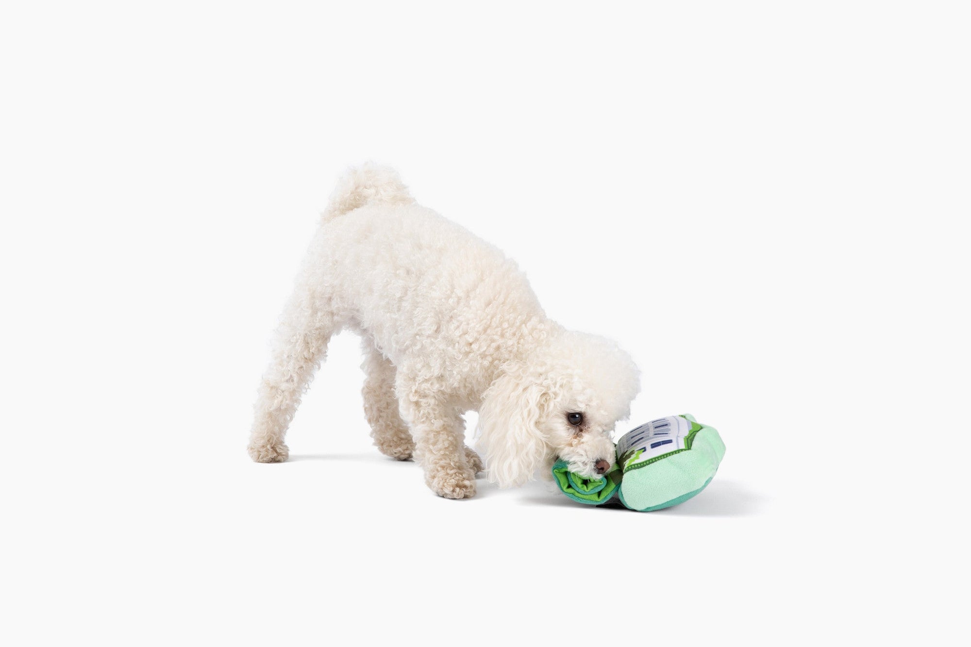 Come Here Buddy - Olympus Nose Work Dog Toy -