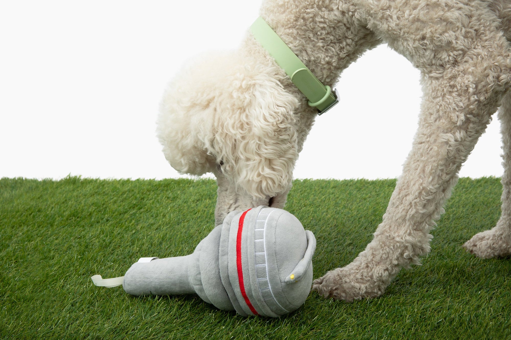 Come Here Buddy - The Six Nose Work Dog Toy -