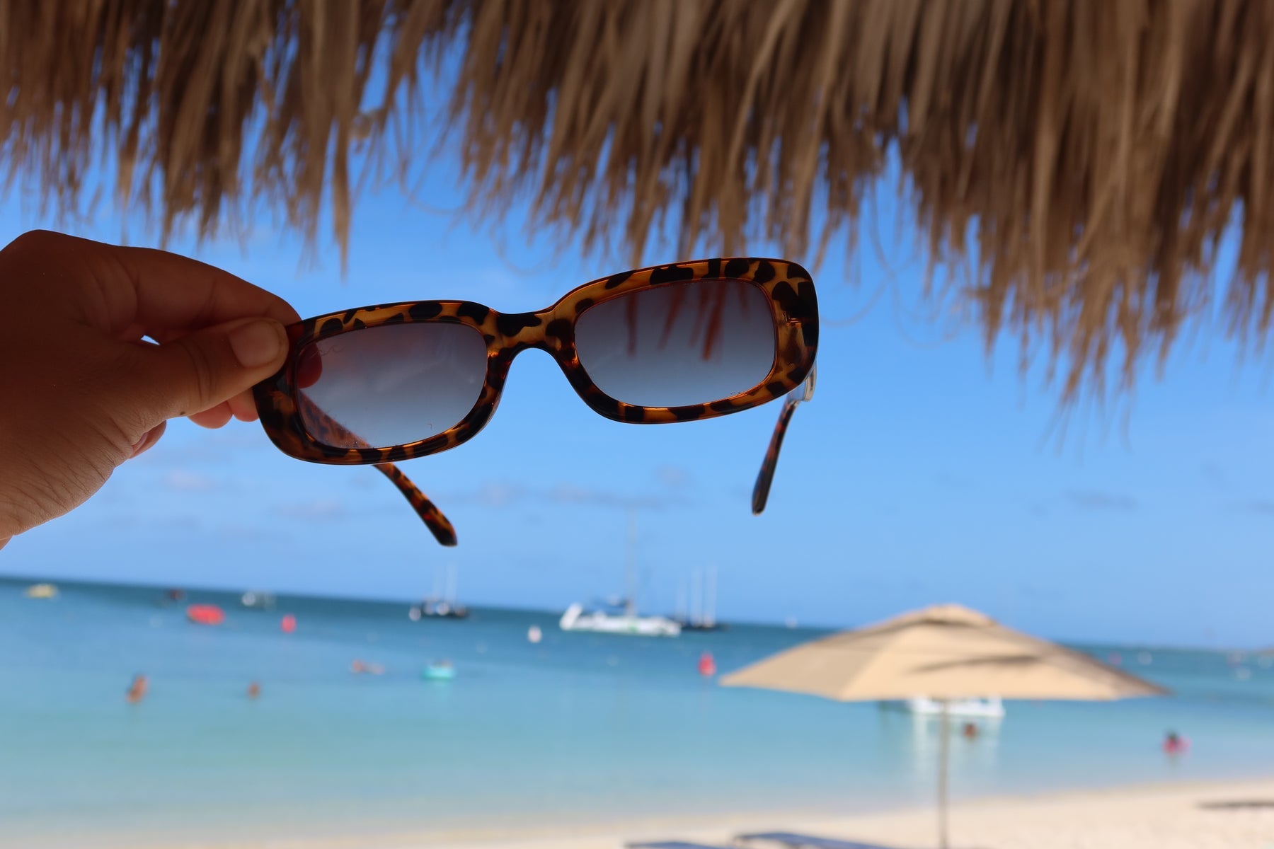 Wavey Sunglasses - Scorpion Sunglasses -