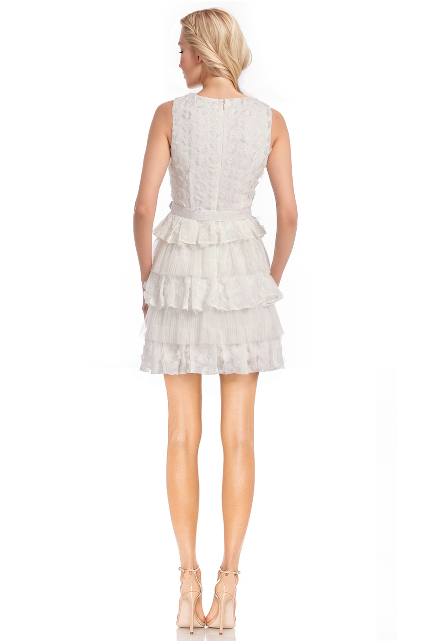 Tiered Ruffle Pleated Mesh Dress