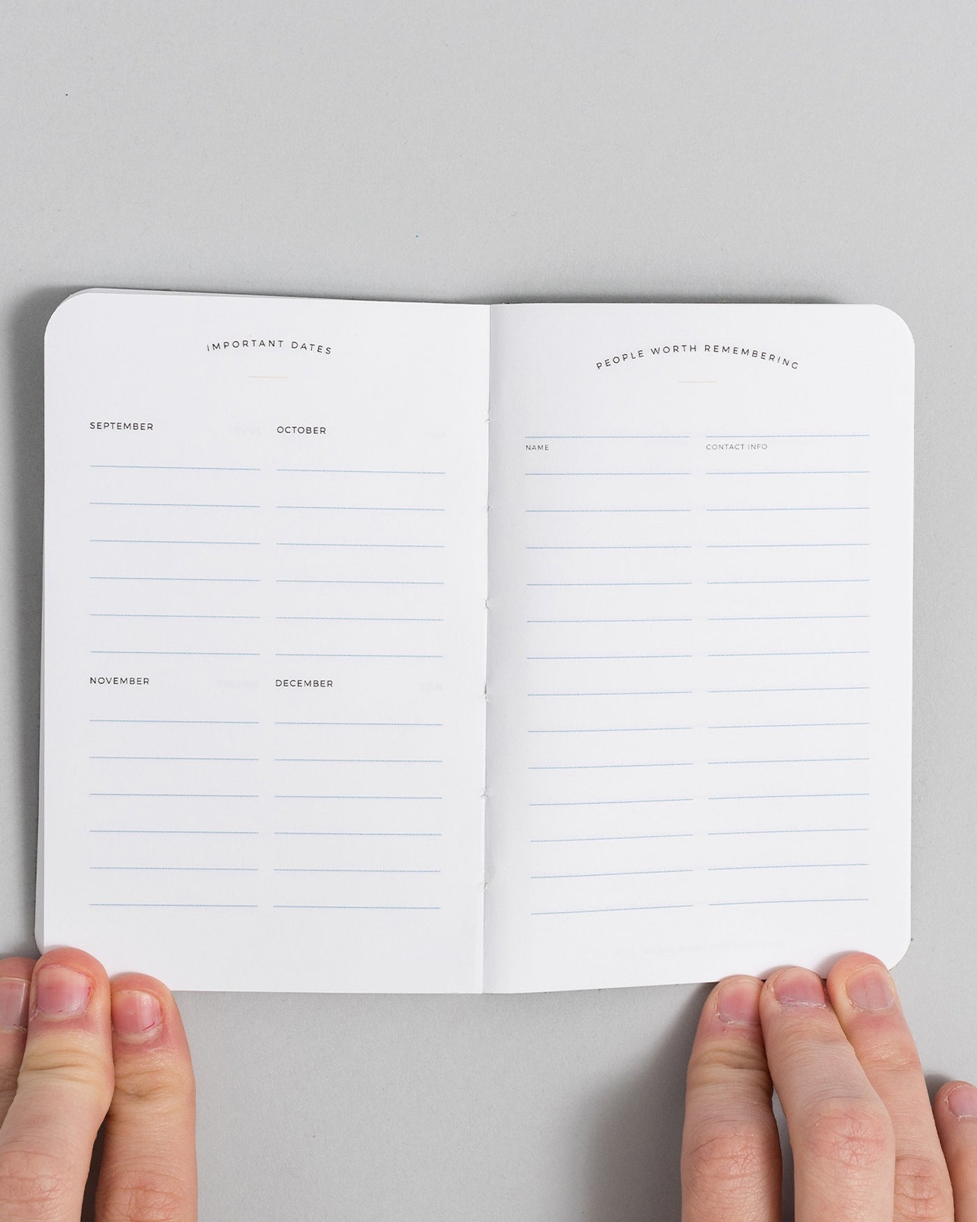 Letterfolk - Today Pocket Planner - Plum -