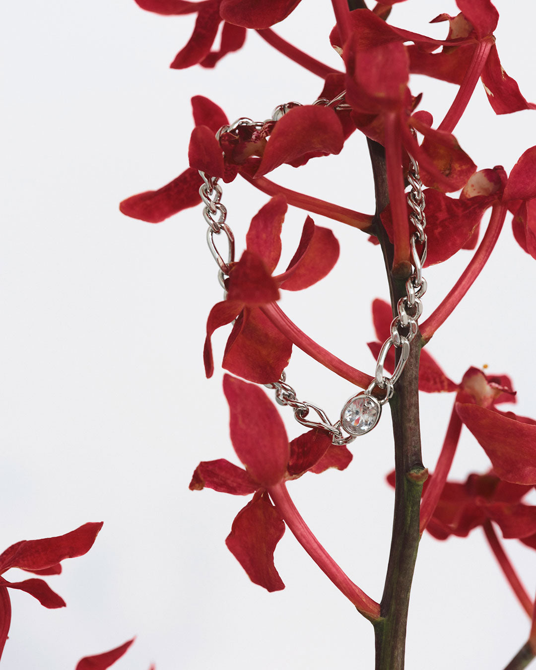 Luv Aj - The Oval Bezel Chain Bracelet -
