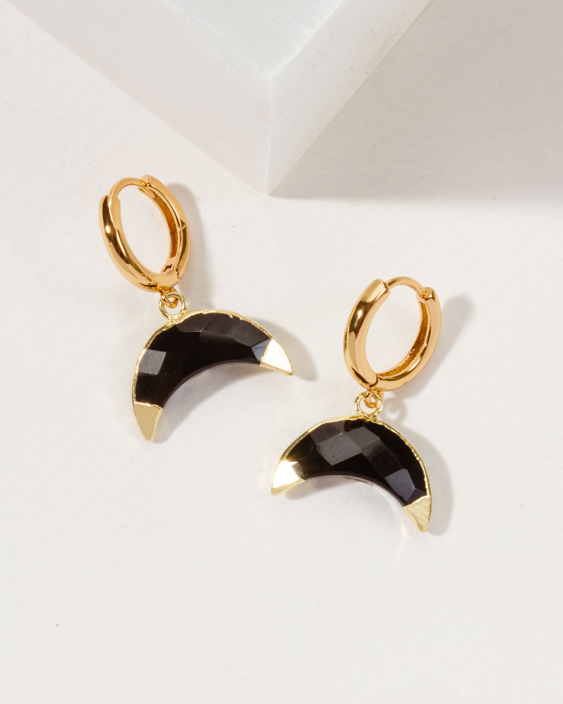 Luna Norte - Crescent Horn Huggie Hoop Earring - Onyx