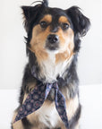 MODERNBEAST - Classic Necktie -