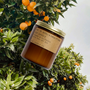 Neroli & Eucalyptus Candle