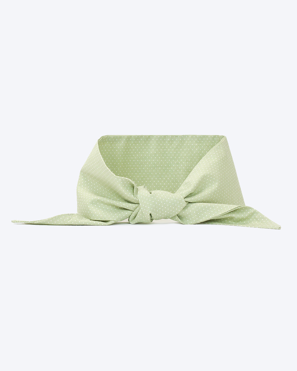MODERNBEAST - Classic Necktie - Mint Polkadot