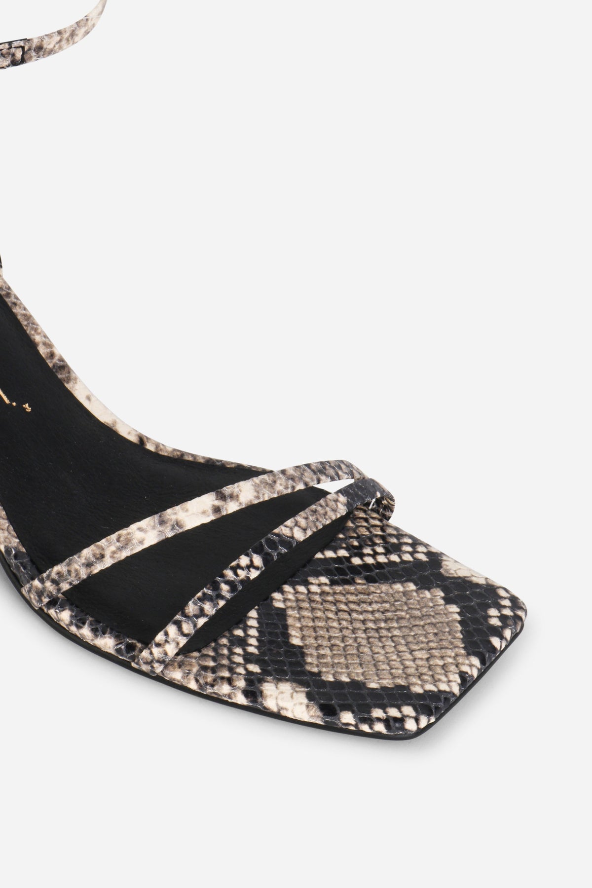 Intentionally Blank - Pretty Please Snake Embossed Heel -