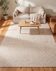 Solo Rugs - Chatham Hand Woven Contemporary Flatweave Area Rug -