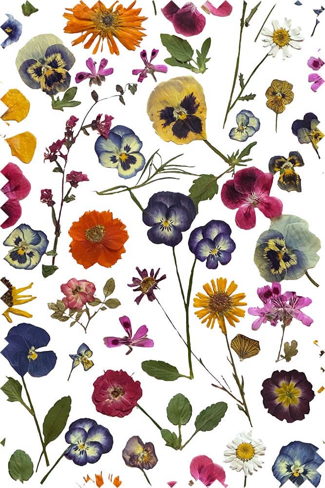 Rachel Antonoff - H.W. Overalls -