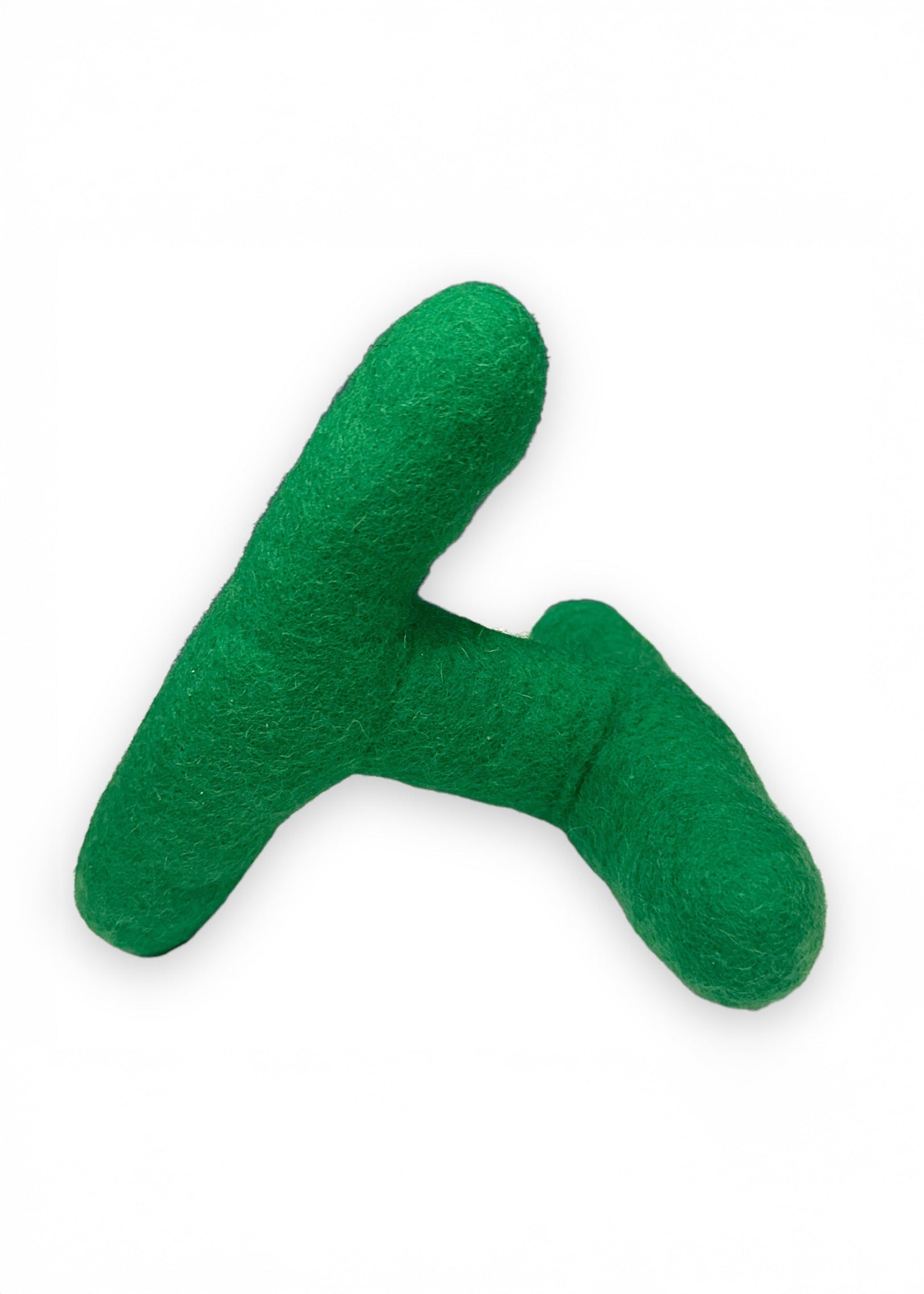 Come Here Buddy - Strand Felt Dog Toy -