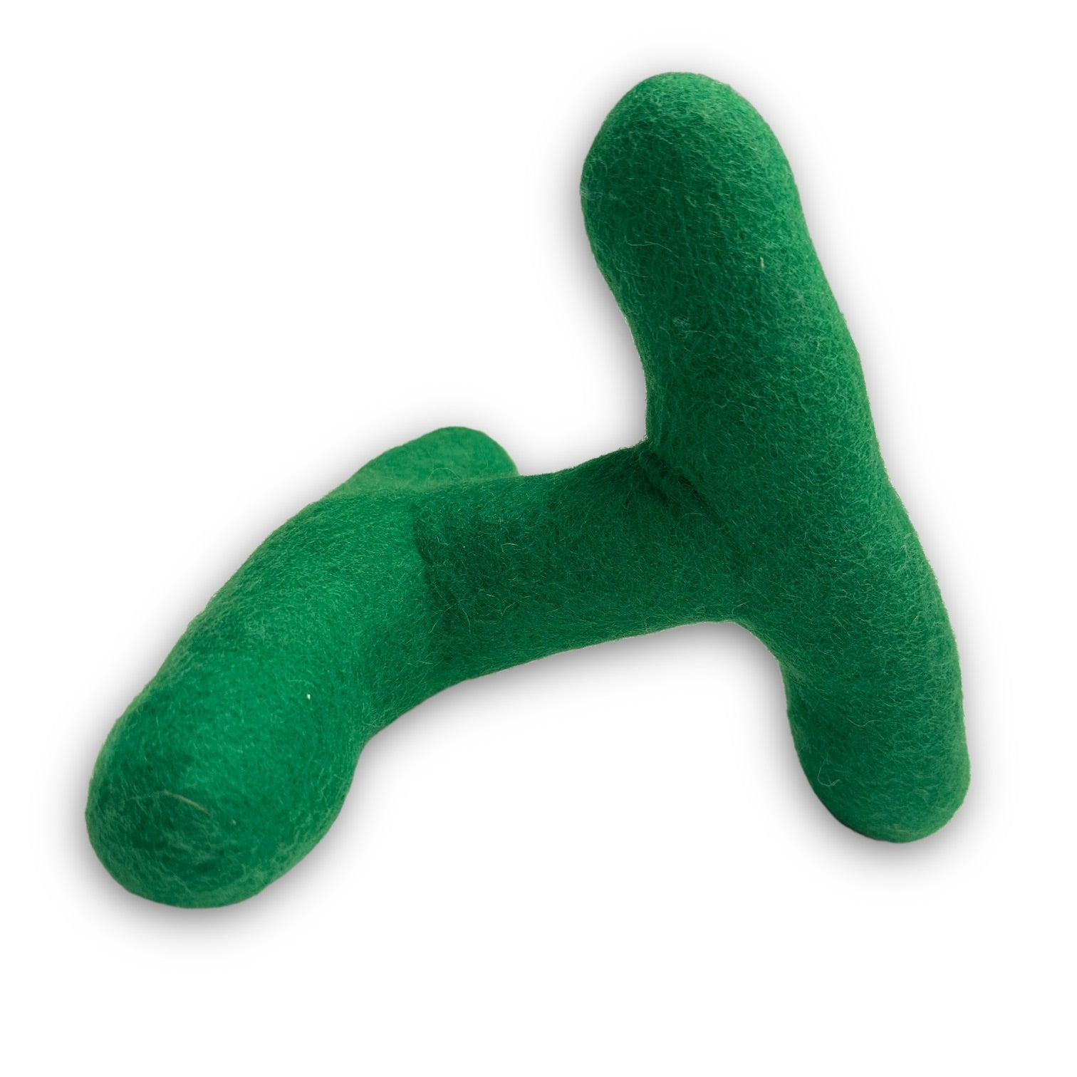Come Here Buddy - Strand Felt Dog Toy -