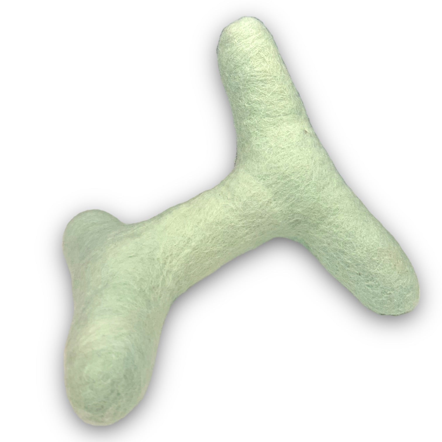 Come Here Buddy - Strand Felt Dog Toy - Mint