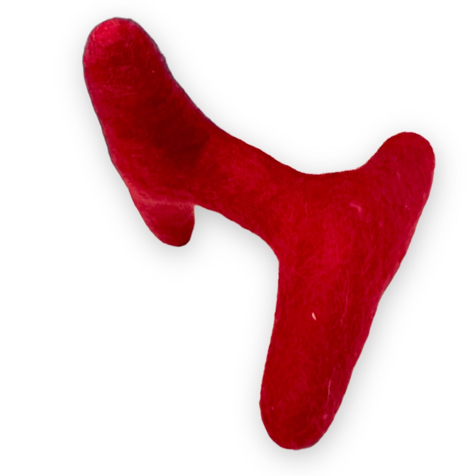 Come Here Buddy - Strand Felt Dog Toy -