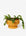 Strata Plant Vessel - Yellow