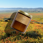 Sunbloom Candle