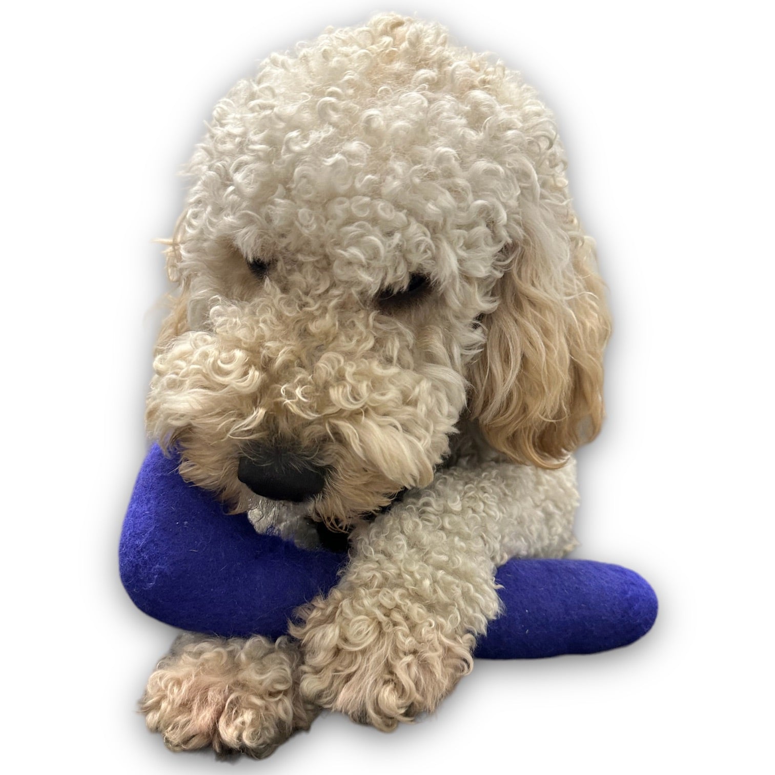Come Here Buddy - Tube Felt Dog Toy -