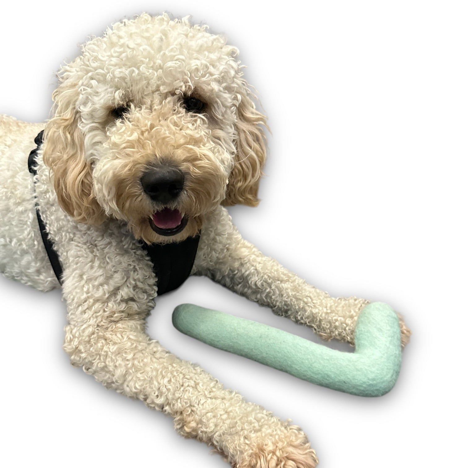 Come Here Buddy - Tube Felt Dog Toy -