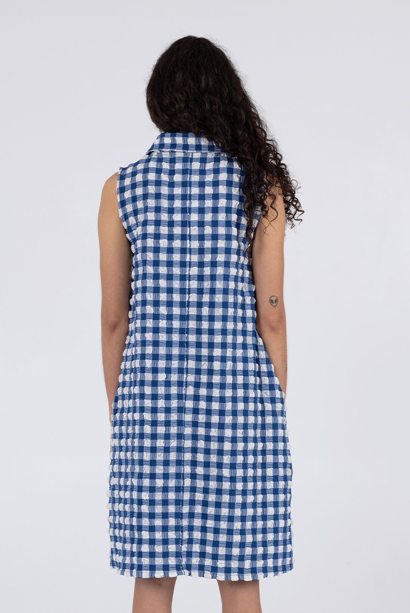 WRAY - Brooks Dress - Navy Check -