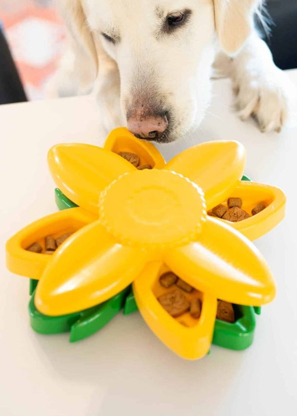 Zippy Paws - SmartyPaws Puzzler - Sunflower -