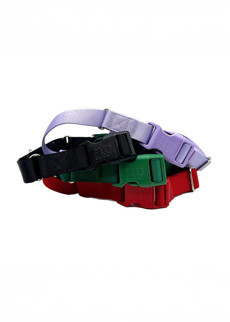 Come Here Buddy - Martingale Dog Collar -