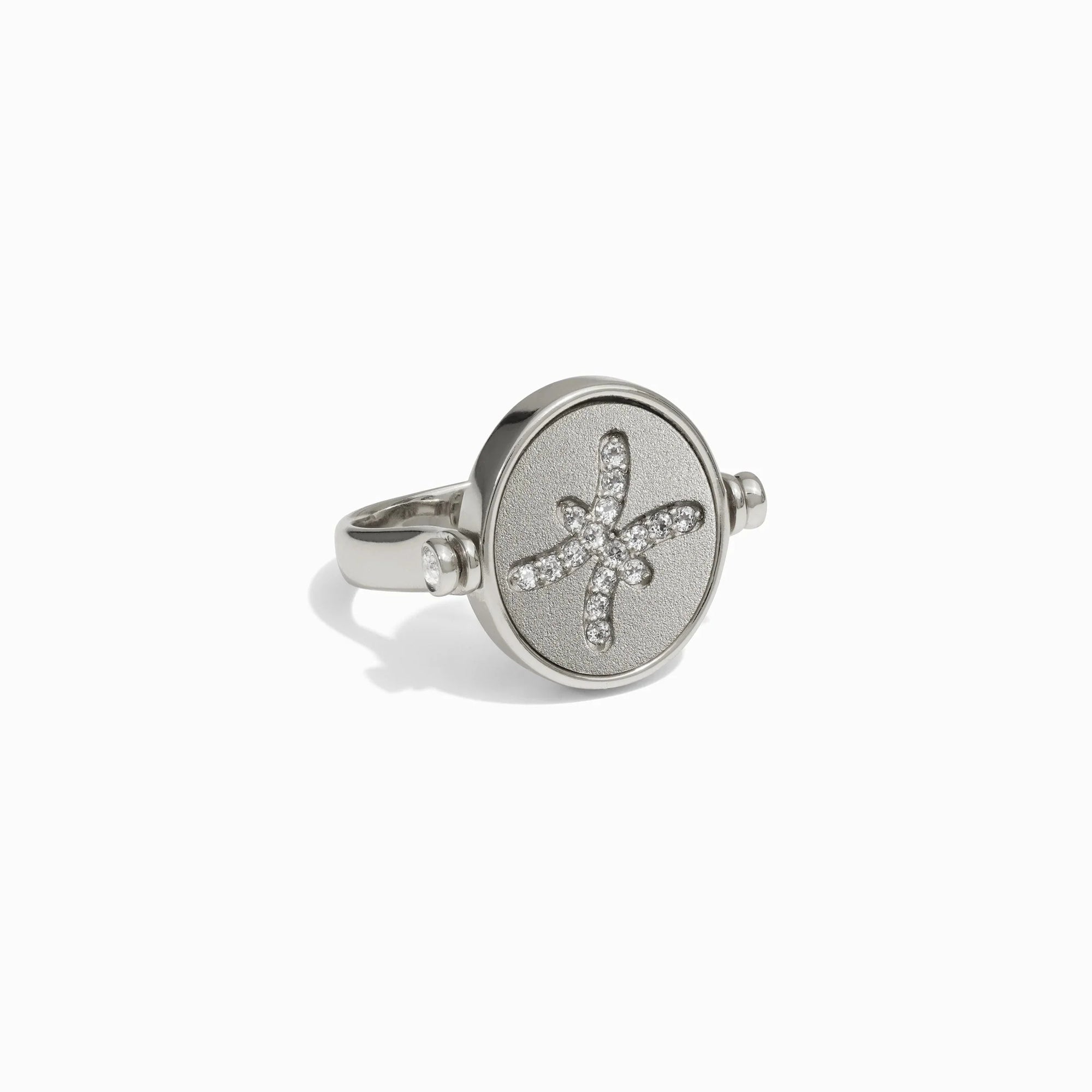 Awe Inspired - Pisces & Water Flip Ring -