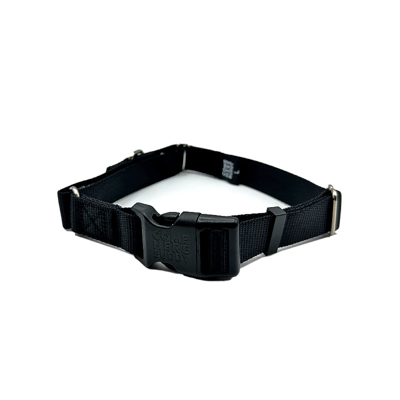 Come Here Buddy - Martingale Dog Collar - Black
