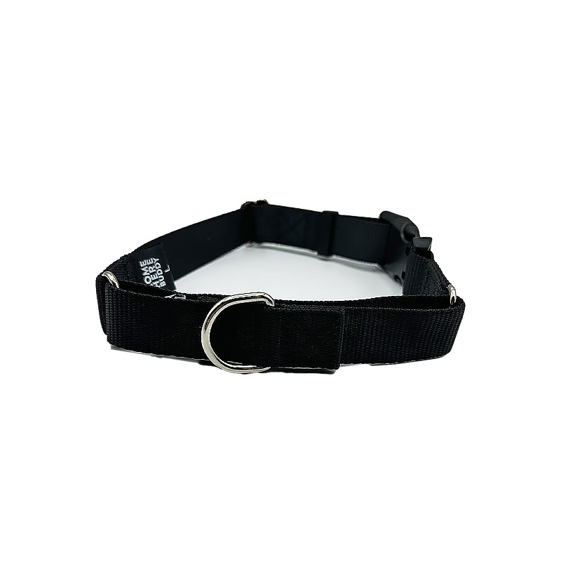 Come Here Buddy - Martingale Dog Collar -