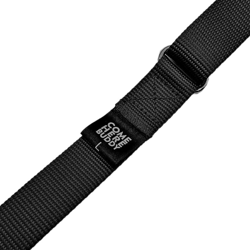 Come Here Buddy - Martingale Dog Collar -