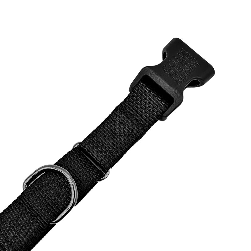 Come Here Buddy - Martingale Dog Collar -
