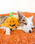 Zippy Paws - Halloween Brainey - Pumpkin -