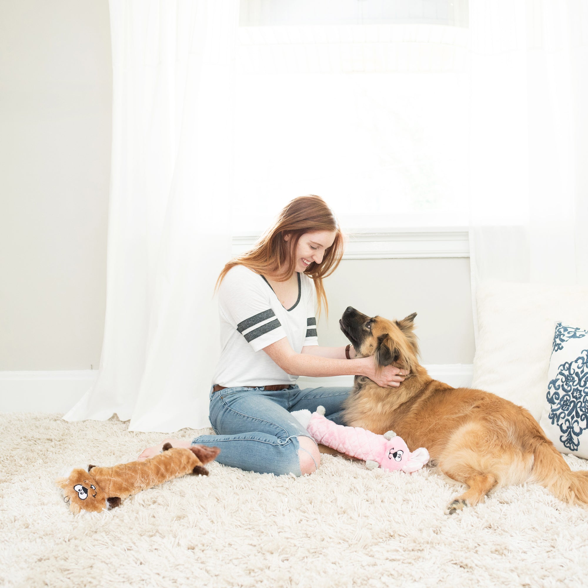 Zippy Paws - Jigglerz - Bunny -